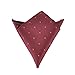 Hello Tie Men's Jacquard Pocket Squares Handkerchiefs, 6pcs/ lot Set 3, One Size