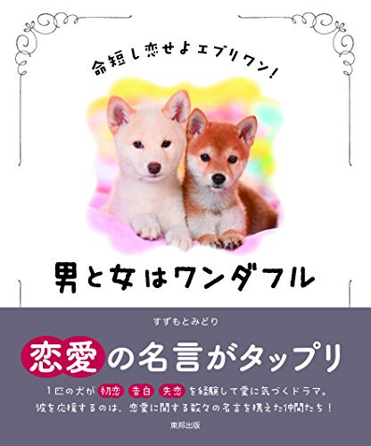 男と女はワンダフル ~命短し恋せよエヴリワン! ~