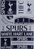 Tottenham Hotspur F.C. Sticker Pack