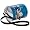 Miami Dolphins