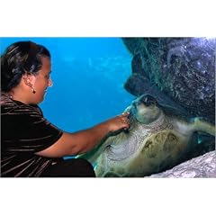 Poster 60 x 40 cm - "A visitor to the Atlantis Resort on Paradise Island, encounters a lovely Green Turtle. The resort ha" von Christopher Baker / Lonely Planet Images - auch in anderen Gr��en und als Leinwandbild erh�ltlich
