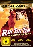 Rin Tin Tin: In den F�ngen der Wildnis