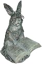 Zoobox, ZRA-S0105, Reading Bunny, Solar