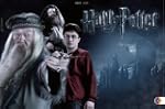 Harry Potter Broschur XL 2014