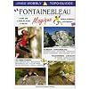 Fontainebleau Magique: Bouldering Guidebook