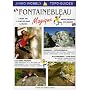 Fontainebleau Magique: Bouldering Guidebook