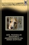 Guia de Educacion y Comportamiento del perro