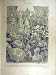 1891 Fete Schwitz Swiss Confederation French Print