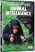 Ultimate Wildlife: Animal Intelligence