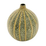 51BcbyFH9oL. SL160  EXP Handcrafted Green Terracotta Flower Vase With Jazzy Stripes   Bulb Reviews