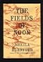 The fields of noon