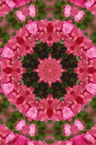 (Website Password Organizer) Floral Kaleidoscope: Password/Login/Website Keeper/Organizer  Never Worry About Forgetting Your Website Password or Login Again!