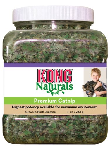 Detail image KONG Premium Catnip, 1-Ounce