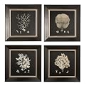 Set of 4 Black and Tan Coral Wall Decor