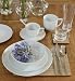 12 Piece Maxim Coupe Dinner Set