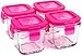 Wean Green Wean Cubes 4oz/120ml Baby Food Glass Containers - Raspberry (Set of 4)