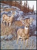 Across the River (Deer Throw Blanket from Biederlack)