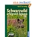 Schwarzwild erfolgreich bejagen