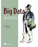 Big Data: Principles and best practices of scalable realtime data systems