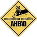 New  Neapolitan Mastiffs Bites Ahead !  Crossing Dog