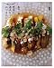 野菜たっぷり、の週末ビール会おつまみレシピ