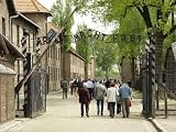 Auschwitz Birkenau - 18W x 14H - Peel and Stick Wall Decal by Wallmonkeys