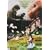 �`���[���Y�E�f�B�P���Y�̍����� ��� [DVD]