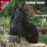 2009 Scottish Terrier Wall Calendar