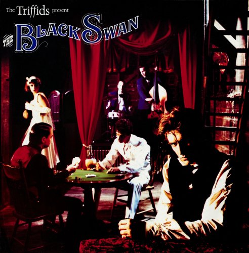 The Triffids - The Black Swan - Zortam Music