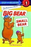 5 Berenstain Bears Step into Reading Books: Big Bear Small Bear; Ride the Thunderbolt; Catch the Bus; Go Up and Down; Tic Tac Toe Mess (The Berenstain Bears)