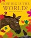 How Big Is the World?