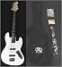 SX BG2K WT White Bass Guitar Package with Amp, Carry Bag and Instructional DVD