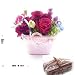 １３日お届け花とパウンドケーキセット　フルーツケーキと感謝の赤カーネーションやさしいアンの花達フラワーアレンジト先着１０名１１日ご注文分　送料無料