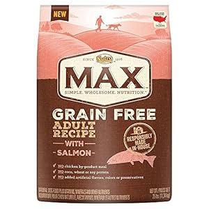 NUTRO MAX Adult Grain Free Recipe With Salmon Dry Dog Food 25 Pounds