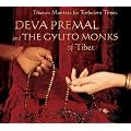Tibetan Mantras For Turbulent