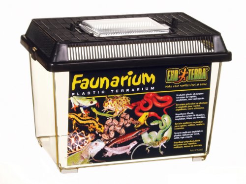 Exo Terra PT2255 Faunarium klein Preisvergleich