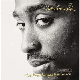 The Rose That Grew From Concrete