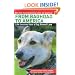From Baghdad to America: Life Lessons from a Dog Named Lava