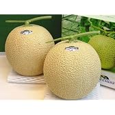 静岡マスクメロン（アールスメロン）　2玉化粧箱入り【MELOXメロン：山印：約1.4kg前後×2玉】