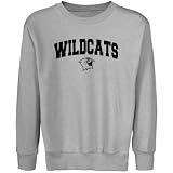 NCAA Northwestern Wildcats Youth Steel Logo Arch Crew Neck Fleece Sweatshirt