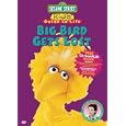 Buy Sesame Street - Big Bird Gets Lost