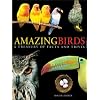 Amazing Birds: A Treasury of Facts and Trivia