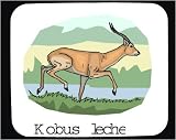 Mouse Pad with africa, kobus, deer, lechwe, savannah, walk, running, antelope, animal, savanna