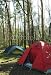 Wallmonkeys Peel and Stick Wall Decals - Camping - Removable Graphic