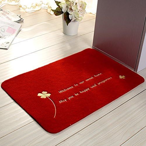 Entrance mat/Entrance mats/Kitchen bathroom mat/Water-absorbing mats-J 50x80cm(20x31inch)
