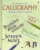 Calligraphy: From Beginner to Expert (Usborne Guide)