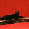 Image of Nicky the Jazz Cat