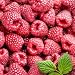 raspberry flavor powder - 5.6 oz