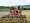 4 Wheel Drive Tractor Pulling a Disc Harrow, Cotswolds, England Photographic Poster Print by Martin Page, 12x16