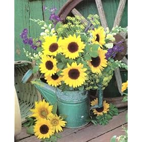 Country Sunflowers Folk Flower Picture Art Print